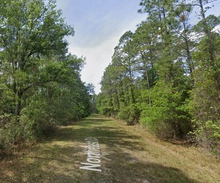 Undeveloped Land in Putnam County, Florida