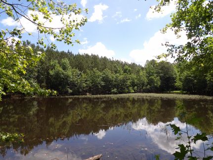 Farm and Ranch for sale in Lexington County, South Carolina