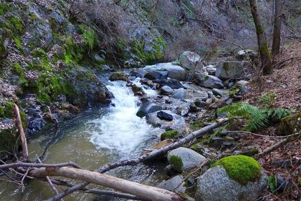 Timberland Property for sale in Shasta County, California
