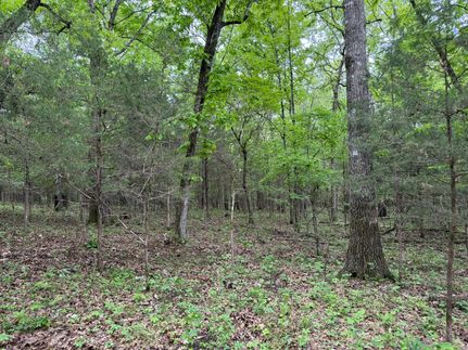 Undeveloped Land in Sharp County, Arkansas