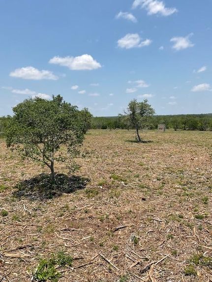 Land for sale in Bee County, Texas