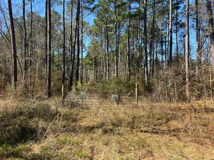 Undeveloped Land for sale in Cass County, Texas