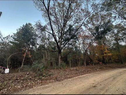 Undeveloped Land in Aiken County, South Carolina