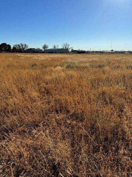 Recreational Property in Ector County, Texas