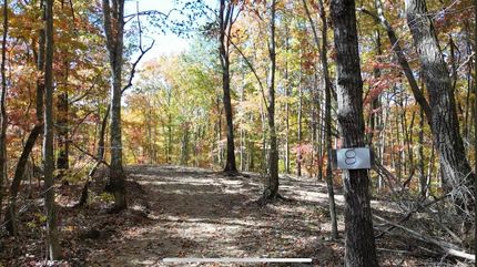 Undeveloped Land in Clay County, Kentucky