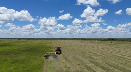 Farm and Ranch for sale in McCulloch County, Texas