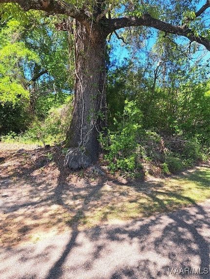 Farm and Ranch in Conecuh County, Alabama