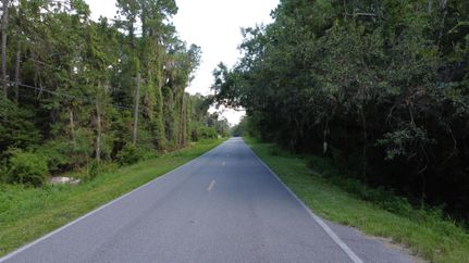 Undeveloped Land for sale in Putnam County, Florida