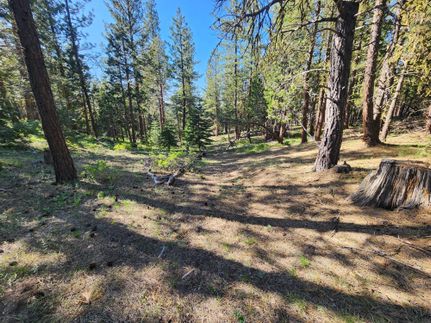 Undeveloped Land for sale in Klamath County, Oregon