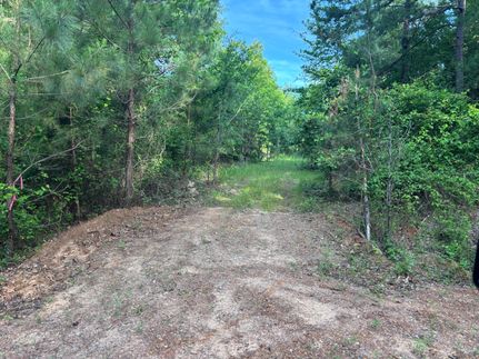 Farm and Ranch for sale in Marion County, Texas