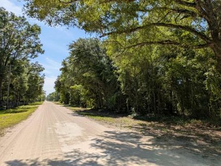 Timberland Property in Suwannee County, Florida