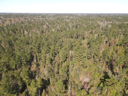 Undeveloped Land in Jackson County, Florida
