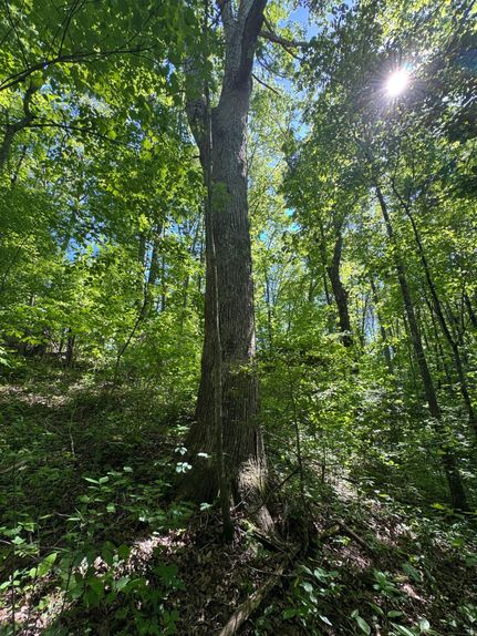 Recreational Property in Grundy County, Tennessee