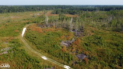 Farm and Ranch in Dorchester County, South Carolina