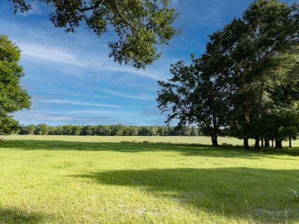 Undeveloped Land for sale in Levy County, Florida