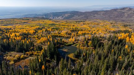 Hunting Property in Montrose County, Colorado