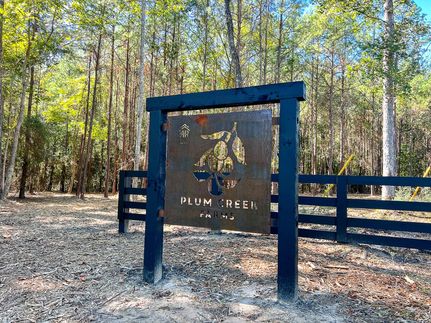 Undeveloped Land in Polk County, Texas