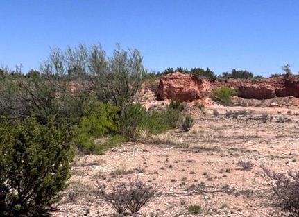 Timberland Property for sale in Coke County, Texas