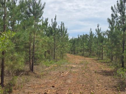 Land for sale in Schley County, Georgia