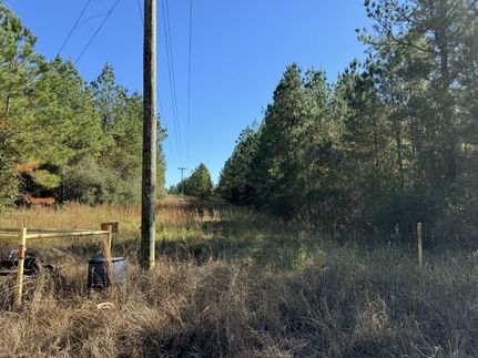 Recreational Property for sale in Jones County, Mississippi