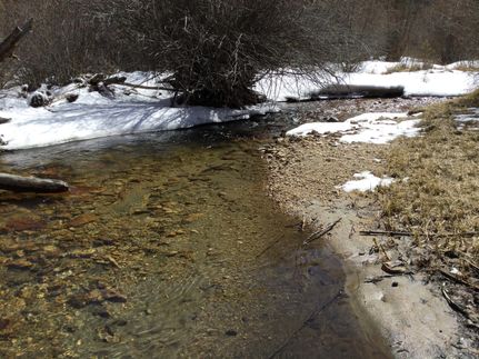 Land for sale in Chaffee County, Colorado