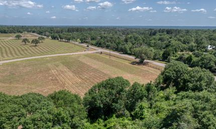 Land for sale in Austin County, Texas