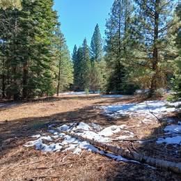 Undeveloped Land in Modoc County, California