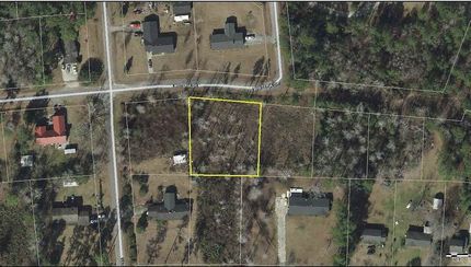 Undeveloped Land in Williamsburg County, South Carolina