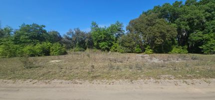 Undeveloped Land in Putnam County, Florida