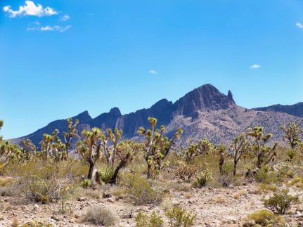 Recreational Property for sale in Mohave County, Arizona
