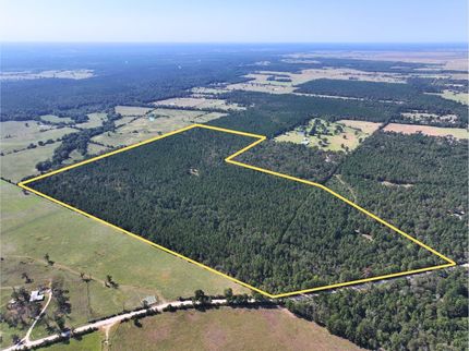 Undeveloped Land in Houston County, Texas