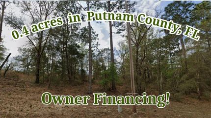 Undeveloped Land for sale in Putnam County, Florida