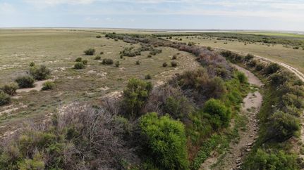 Hunting Property in Bent County, Colorado
