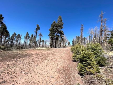 Farm and Ranch in Costilla County, Colorado