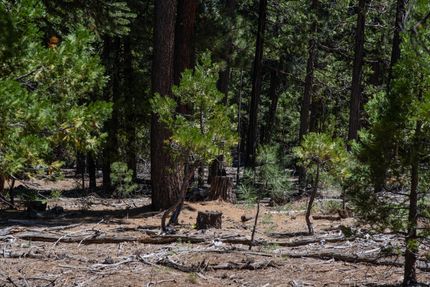 Lakefront Property in Modoc County, California
