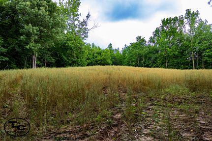 Farm and Ranch for sale in Chester County, Tennessee