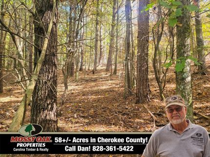 Undeveloped Land in Cherokee County, North Carolina