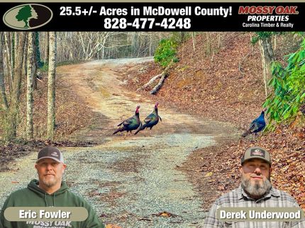 Recreational Property for sale in McDowell County, North Carolina