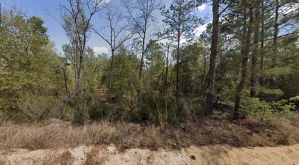 Undeveloped Land in Putnam County, Florida