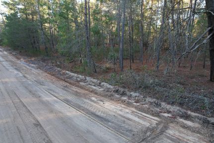 Undeveloped Land in Putnam County, Florida