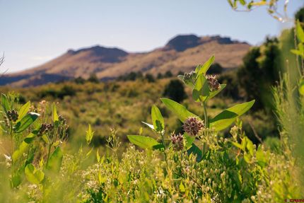 Land for sale in Rio Grande County, Colorado