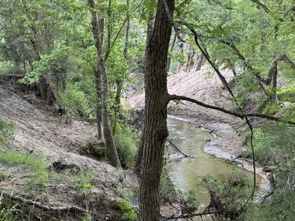 Farm and Ranch for sale in Titus County, Texas