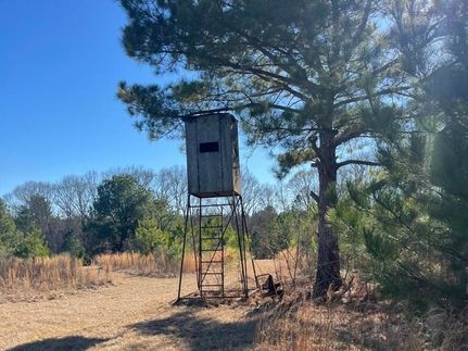 Undeveloped Land for sale in Copiah County, Mississippi