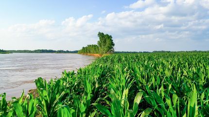 Land for sale in McCurtain County, Oklahoma