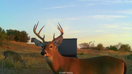 Farm and Ranch for sale in Stephens County, Texas