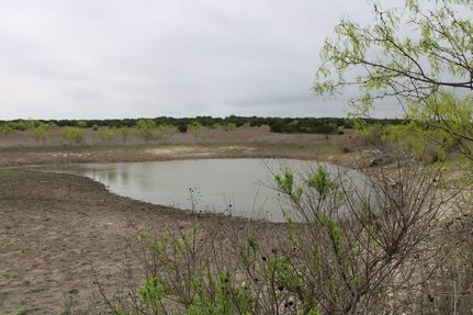 Farm and Ranch for sale in Hamilton County, Texas