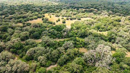 Timberland Property for sale in Colorado County, Texas
