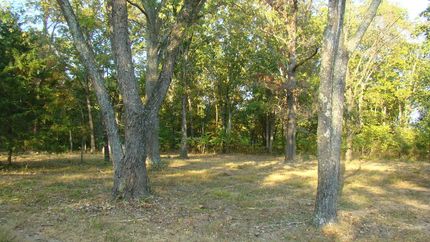 Farm and Ranch in Texas County, Missouri
