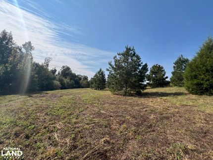 Recreational Property in Henry County, Alabama