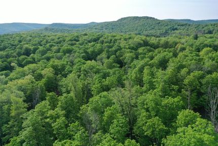 Farm and Ranch for sale in Potter County, Pennsylvania